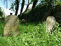 Čeština: Židovský hřbitov ve Stříteži, okres Jihlava. English: Jewish cemetery by the village of Střítež, Jihlava District, Vysočina Region, Czech Republic. This is a photo of a cultural monument of the Czech Republic, number: 37764/7-5233. Památkový katalog  · MIS  · hledat obrázky  · hledat seznamy  · Wikidata