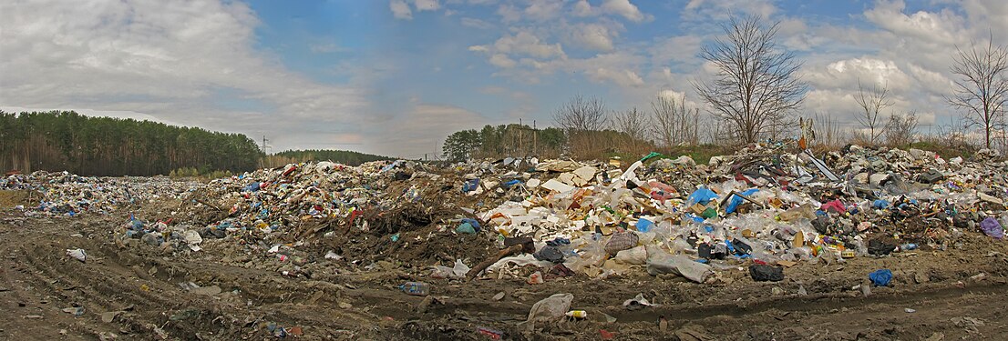 Landfill near New Petrovka near Kiev, in a protected forest