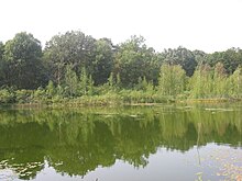 Озеро Моховате