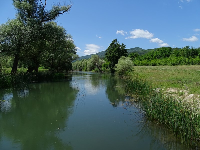 File:Река Голяма Камчия край Велики Преслав.jpg