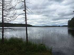 Вид с юго-восточного берега Сонкусъярви