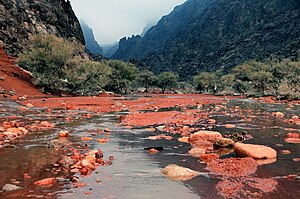 Shammar Mountains