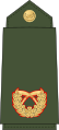Brigadier general(Nepali: सहायक रथी, romanized: Sahaayak rathee)(Nepalese Army)[32] 