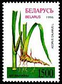 1996. Stamp of Belarus 0165.jpg