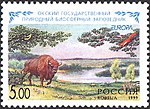 1999. Briefmarke Russlands 0500 hi.jpg