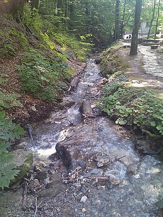 <span class="mw-page-title-main">Medveščak (stream)</span> River in Croatia