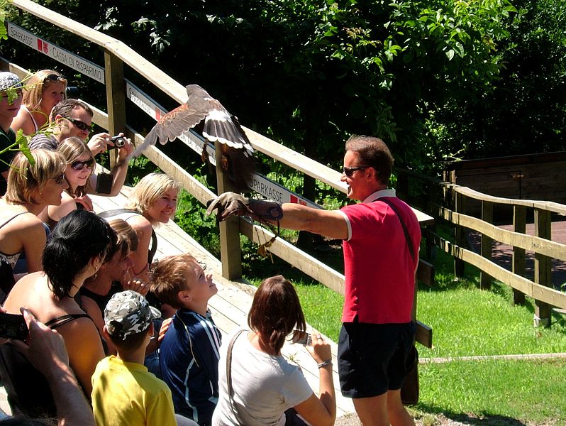 File:2008 07 15 Bird Care Centre of Castel Tyrol 60805 D9801.jpg