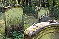 Deutsch: Jüdischer Friedhof beim Dörzbacher Ortsteil Laibach English: Jewish cemetery near Dörzbach-Laibach, Germany