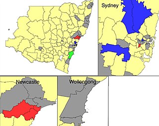 <span class="mw-page-title-main">2021 New South Wales mayoral elections</span>