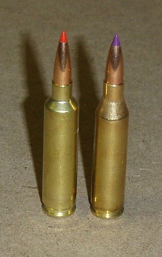 <span class="mw-page-title-main">Wildcat cartridge</span> Custom cartridge for firearms