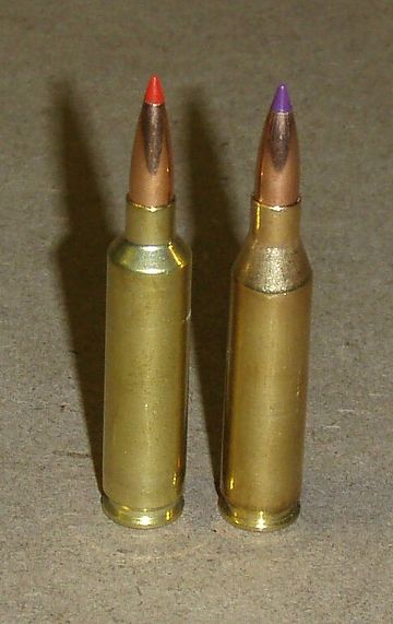 Wildcat cartridge