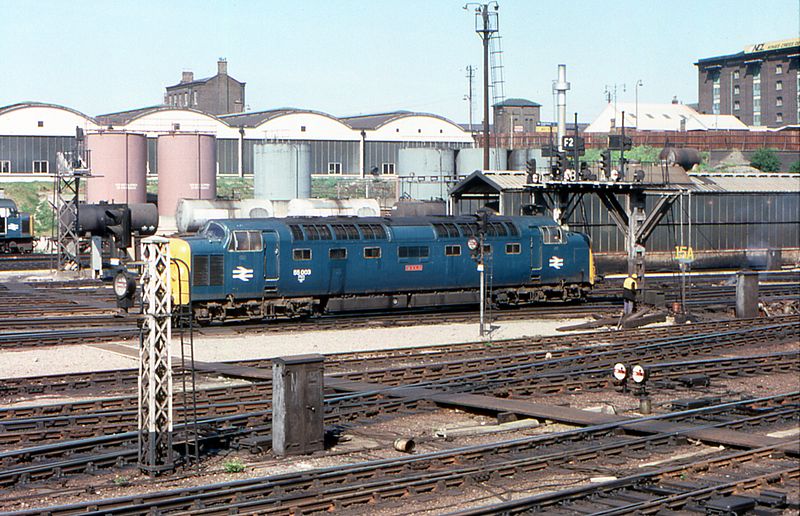 File:55003 Meld at Kings Cross Station.jpg