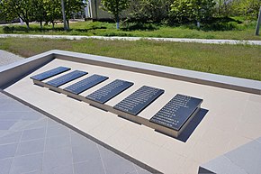 65-223-0077 Rmbalche Brother's grave.jpg