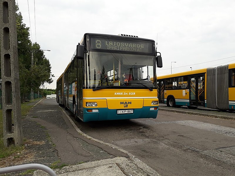 File:8-as busz (IKP-867), Eger.jpg