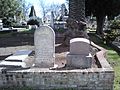 A photograph of the graves of Amos Parmalee Catlin and his wife, Ruth Anne Coningham Donaldson.