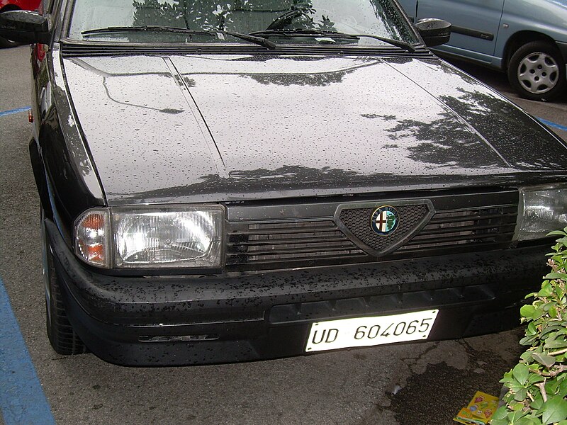 File:Alfa Romeo 33 (series I, 1986-1989) 01.JPG