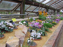 Royal Horticultural Society S Garden Wisley Wikipedia