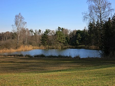 Amtweiher II