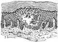 Vessicle in the prickle layer, the epithelial cells pushed aside, and a few leucocytes in the cavity. 50x From a section by Windlereid William.