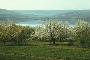 Agriculture En Moldavie