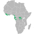 Range of Anthonotha fragrans