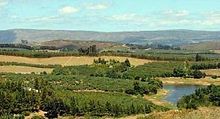 Apple farming in Elgin - South Africa.jpg