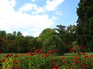 Jardín de flores / Flower garden