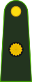 Argentina-Army-OF-3.svg