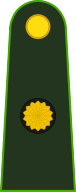 File:Argentina-Army-OF-3.svg