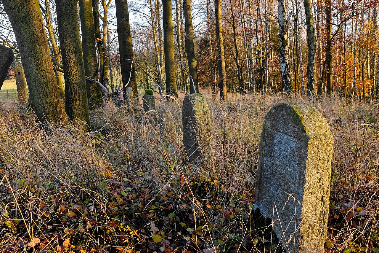 Arnoltov židovský hřbitov listopad 2019 (1).jpg
