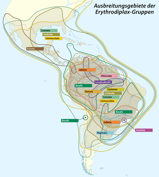 File:Ausbreitungsgebiete Erythrodiplax-Gruppen.png