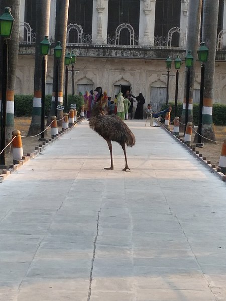 File:Bahu Beghum Maqbara Garden.jpg