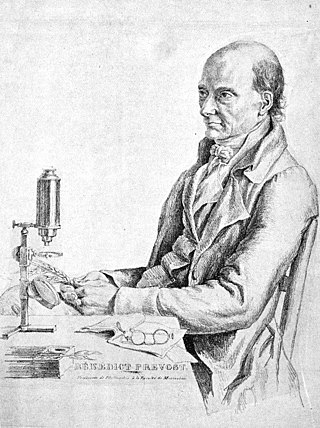 <span class="mw-page-title-main">Isaac-Bénédict Prévost</span> French theologian and naturalist (1755–1819)