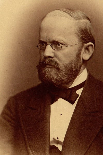 File:Bernhard Erdmannsdörffer (HeidICON 33451) (cropped).jpg