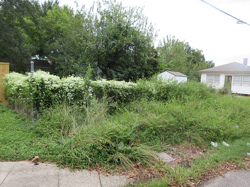 File:Berwick Street, Old Jefferson Louisiana, September 2023 - 01.jpg