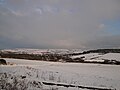 Fields off Newport Road, Bierley, Isle of Wight seen three days after heavy snowfall on the island on 5 January 2010.