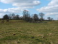 Blakelow Farm and spoil heaps - geograph.org.uk - 1231956.jpg