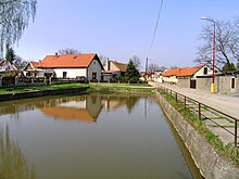 Brázdim, Common Pond.jpg