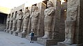 By ovedc - Karnak temple complex - 25.jpg