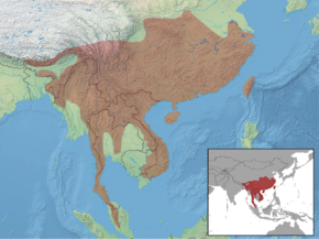 A Callosciurus erythraeus distribution.png kép leírása.