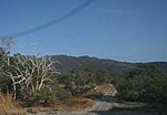 Miniatura para Parque nacional Cabo Melville