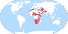 Areál rozšíření (červeně)