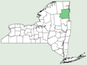 Carex atratiformis NY-dist-map.png