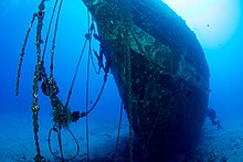 Underwater in 2017 Carthaginian II (32541571686).jpg