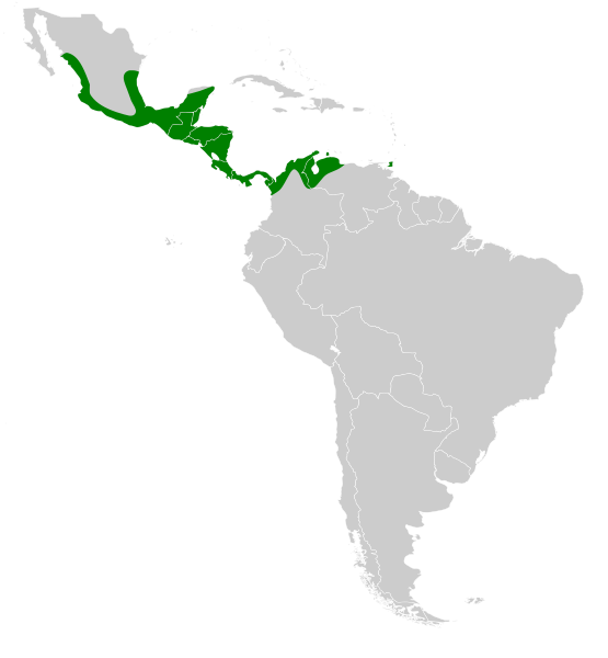 File:Centurio senex map.svg