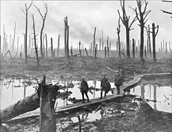 Az ausztrál 4. hadosztály katonái egy pallón Hooge közelében, 1917. október 29-én.