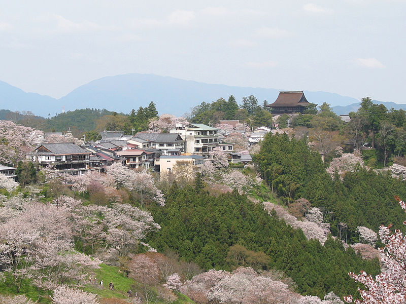 File:Cherry blossoms at Yoshinoyama 01.jpg