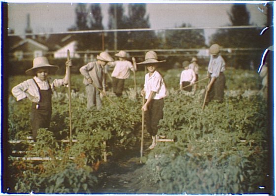 File:Children in the gardens of the National Cash Register Company, Dayton, Ohio LOC agc.7a17671.tif