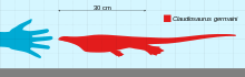 Size compared to human hand Claudiosaurus Scale.svg