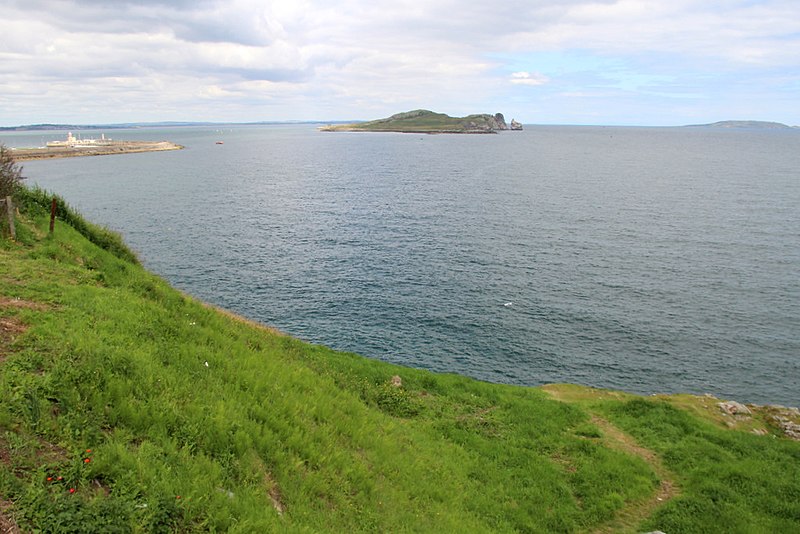 File:Clifftop near Howth, Ireland - geograph.org.uk - 2550917.jpg